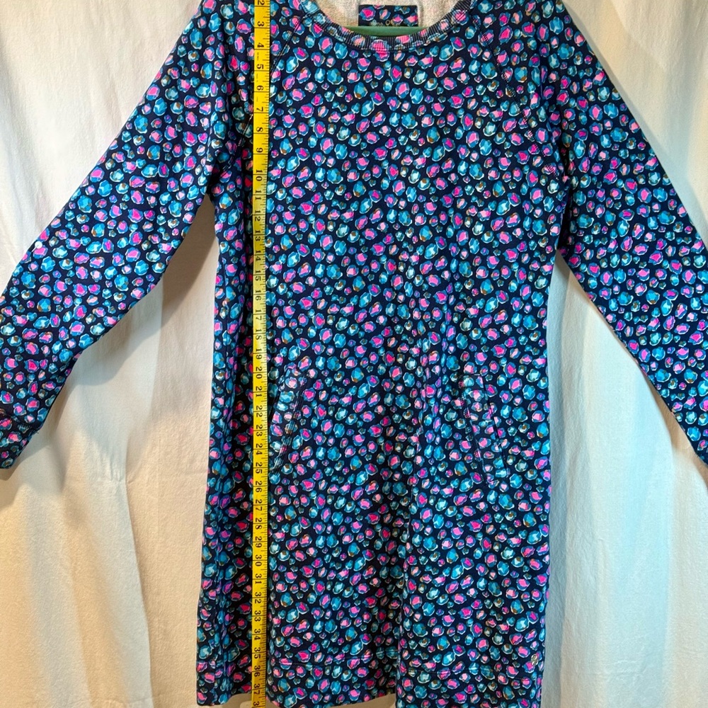 Lilly Pulitzer Blue and Pink ladies Dress